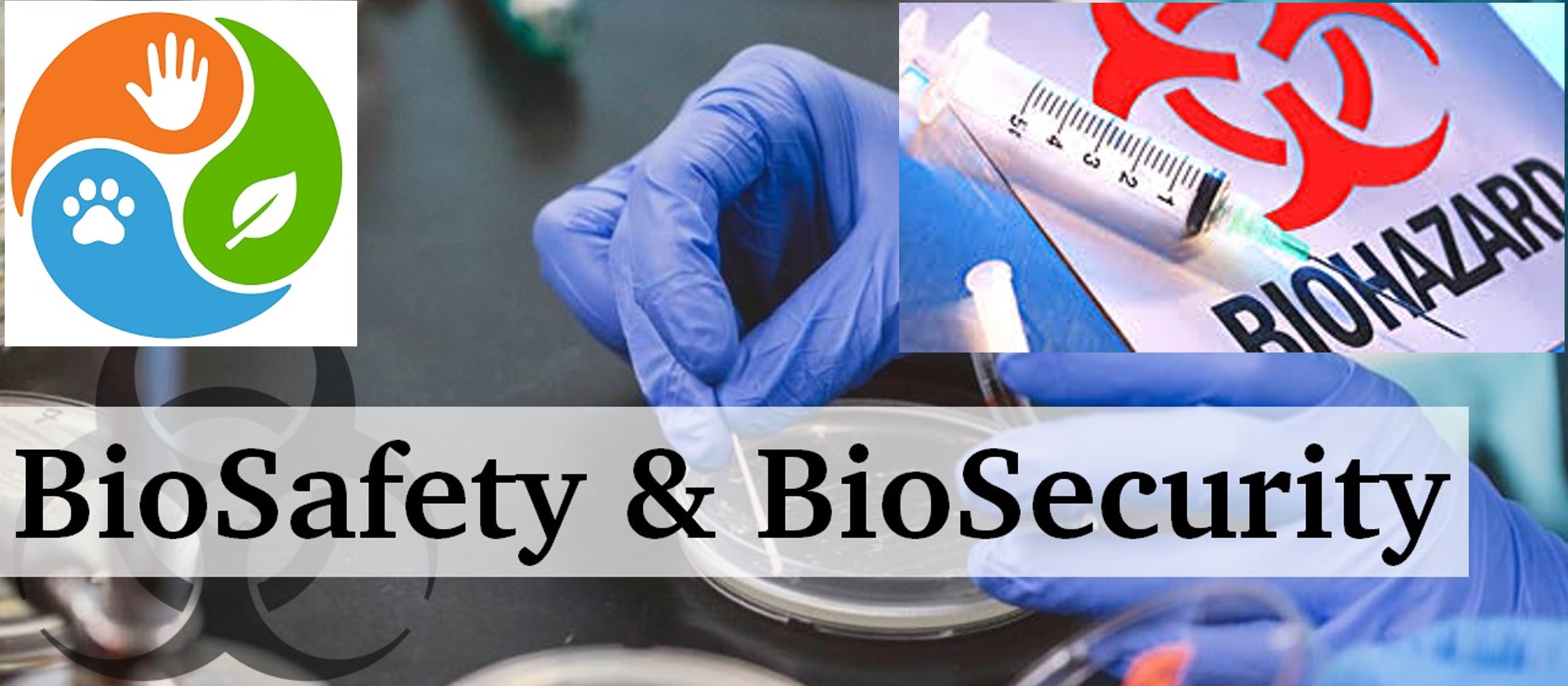Biosafety, Bioethics and One health